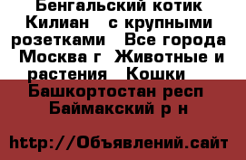 Бенгальский котик Килиан , с крупными розетками - Все города, Москва г. Животные и растения » Кошки   . Башкортостан респ.,Баймакский р-н